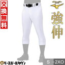 野球 練習着 ユニフォームパンツ 大人 ミズノプロ MIZUNO PRO ストレッチ練習用 レギュラーフィット 12JDCU1001 野球ウェア 野球ズボン 【...