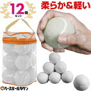 野球練習用テニスボール 12球セット ホワイト 約63mm 重さ55-60g 専用バッグ付き テニス用ボール バッティング ヒッティング 守備練習 キャッチング...