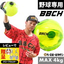 【レビューで手袋ホルダー贈呈】野球 練習 ワンハンドピッチウォーターボール 片手 左右兼用 直径20cm 満水時約4kg 持ち手・空気入れ付き ウォーターバッグ...