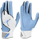 【交換往復送料無料】 野球 バッティンググローブ 両手用 水色 青 ナイキ NIKE ジョーダン JORDAN フライエリート 耐久性 ストレッチ 伸縮性 バッ...