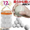 野球練習用テニスボール 12球セット ホワイト 約63mm 重さ55-60g 専用バッグ付き テニス用ボール バッティング ヒッティング 守備練習 キャッチング 打撃 練習 トレーニング 白 自宅 お庭 ガレージ 室内 お部屋 夜間 上達 特訓 グッズ TNBALL12-W BBCH ベースボールチャンプ