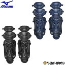 ミズノ MIZUNO 野球 少年軟式用レガーズ (サイズS) 1DJLY220 防具