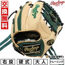 野球 トレーニンググローブ 硬式 大人 右投げ ローリングス Rawlings トレーニンググラブ GH5GTK4T-CAM-DGRN サイズ交換往復無料 20...