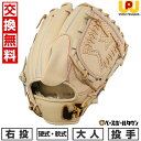 【年中無休】 【交換往復無料】 野球 グローブ 硬式・軟式兼用 大人 ワールドペガサス Worldpegasus 硬式・軟式兼用グランドペガサス TOP 投手用...
