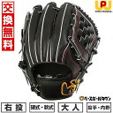 【年中無休】 【交換往復無料】 野球 グローブ 硬式・軟式兼用 大人 ワールドペガサス Worldpegasus 硬式・軟式兼用グランドペガサス TOP 投手・...
