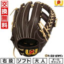 【交換往復無料】 ソフトボール グローブ 大人 ワールドペガサス Worldpegasus ソフトボール用エディット オールラウンド用 右投用 サイズ10 Dブラウン/キャメルブラウン WGS5ED1 2025年NEWモデル 型付け可能(G) 軟式使用可能 【365日あす楽対応】 2025SS03