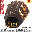 【交換往復送料無料】 野球 グローブ 少年軟式 右投げ ワールドペガサス WORLD PEGASUS Jr.軟式用エディットFL サイズS ソフトボール使用可 WGJ5FEDS キャッチボール 【365日あす楽対応】
