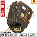 【交換往復送料無料】 野球 グローブ 少年軟式 右投げ オールラウンド用 ワールドペガサス WORLD PEGASUS Jr.軟式用エディットFL サイズL ソフトボール使用可 WGJ5FEDL キャッチボール 【365日あす楽対応】 楽天スーパーSALE RakutenスーパーSALE