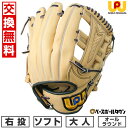 【3連休も毎日出荷】 【交換往復送料無料】 ソフトボール 野球 グローブ 大人 右投げ ワールドペガサス WORLD PEGASUS グランドペガサスTOP 硬...