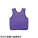 モルテン molten ゲームベスト ジュニア用 小学校向け 蛍光紫 無地(番号なし) 10枚組 GB0112-KPNN 取寄 サッカー 少年用 男の子 女の子...