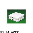 SSK エスエスケイ 軟式・ソフトボール用塁ベース ベース・プレート 2枚組 公式規格品 日本製 YM9RW