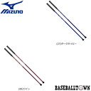 ミズノ MIZUNO マイティポール ロングタイプ 2本1組 男女兼用 C3JTP730 ウォーキング ウォーキングポール