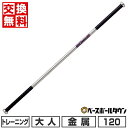 【年中無休】 【交換往復送料無料】 野球 バット 金属 大人 ユニックス UNIX 素振りトレーニングバット 2Way Balance Bat 120cm 10...