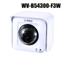 【WV-B54300-F3W】 Panasonic アイプロ i-PRO フルHD 屋外 パンチルト ネットワークカメラ （代引不可・返品不可）