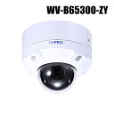 【WV-B65300-ZY】 Panasonic アイプロ i-PRO フルHD 屋外 ネットワークカメラ PTZタイプ (3.1倍) (代引不可・返品不可)