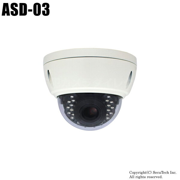 防犯カメラ キャロットシステムズ製 SD録画機能搭載防犯カメラ （代引不可・返品不可）【ASD-03】
