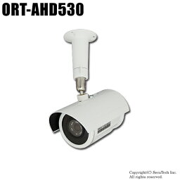 防犯カメラ 213万画素 SONY STARVIS 左右撮影80°高感度カメラ（f=4mm）【ORT-AHD530】