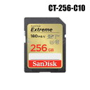 【メール便可】防犯カメラ SanDisk SDXCカード 256GB Class10【CT-256-C10】