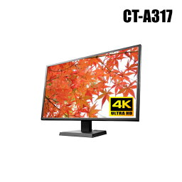 防犯カメラ IOデータ製 4K対応 31.5型ワイド カラー液晶モニタ （HDMI/VGA接続専用）【CT-A317】