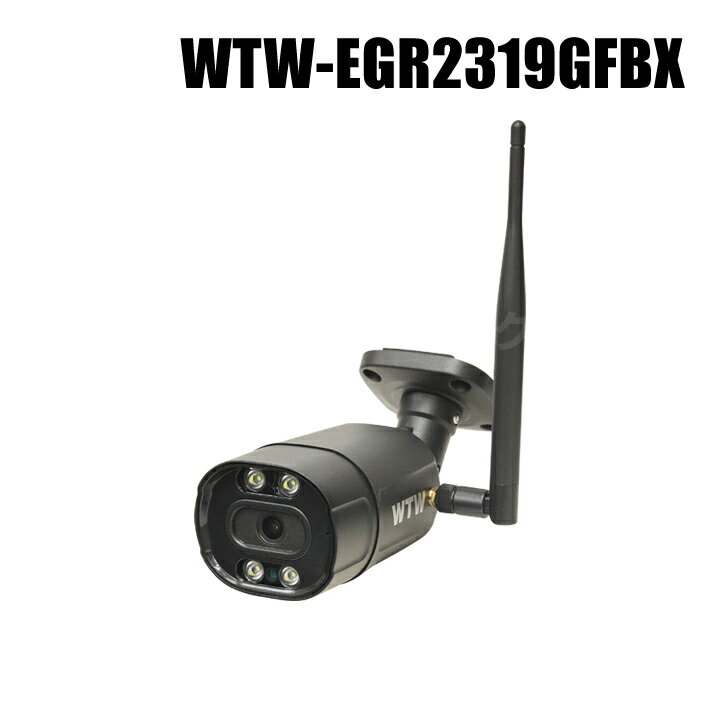 【WTW-EGR2319GFBX】 500万画素 機器間Wi-Fi対応IPネットワークシリーズ 屋外仕様 防犯灯カメラ（代引不可・返品不可）