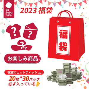 【送料無料】手口ふき ウェットティッシュ 赤ちゃん 20枚入り おしりふき 赤ちゃん用 手口ふき 赤ちゃんの手口ふき ベビー ベビー用 ポーチ ノンアルコール 純水99.9％ 厚手 携帯便利 肌にやさしい うるおい 保湿 拭き跡が残りにくい 植物エキス5種 Bc Babycare