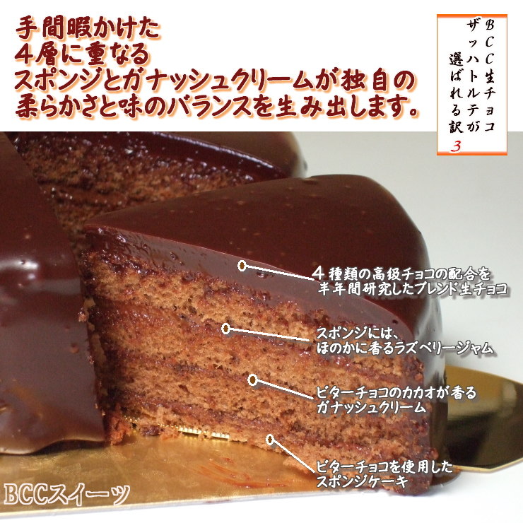 クリスマスケーキ 5号 チョコレートケーキ / 15cm 生チョコ ザッハトルテ チョコレート 2019 予約 クリスマス ケーキ お取り寄せ 子供 人気 サンタ 飾り 冷凍 ギフト サイズ プレゼント スイーツ お菓子 チョコ チョコレート