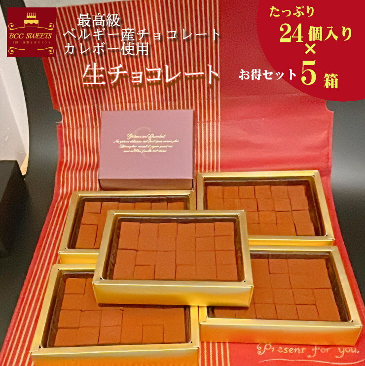 生チョコ 24個入り【5箱】 ホワイトデー 2023 人気 チョコレート 生チョコ 義理チョコ プチギフト ギフト 贈り物 スイーツ　ヴァレンタイン ギフト 2023 バレンタインデー バレンタインチョコ プレゼント 本命 義理 友チョコ 義理チョコ 贈り物 贈答 サプライズ チョコのサムネイル
