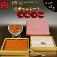 【 最高級ベルギーチョコ使用生】チョコ 24個入り 【1箱】【2箱】【5箱】【10箱】 ホワイトデー 2025 人気 チョコレート 生チョコ お返し お菓子 チョコ 洋菓子 人気 おしゃれ 職場 お返しおすすめ スイーツ プレゼント