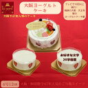 TVでTVで紹介されました「ラヴィット!」大阪ヨーグルトケーキ 4号 フルーツケーキ 大阪 ご当地スイーツ 名物 あす楽 ケーキ プレゼント スイーツ