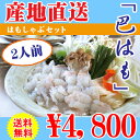 【産地直送】徳島県阿南沖水揚げ鮮魚。【お取り寄せhcth】【代引決済不可】【産地直送】特選「巴(ともえ)はも」ギフト はもしゃぶ・はもすきセット(2人前) 2200020013440【54001】【送料無料】【smtb-KD】※産地直送のため2〜7営業日以降の発送となります。【fkbr-g】【楽ギフ_包装】【RCP】【10P06may13】