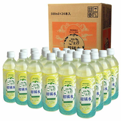 【送料無料】阿波のこだわり柑橘水 500mlx24本 PET【1ケース】 果汁2％ 4560436841258【サンマック】【..