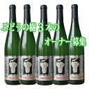 2025年度 ぶどうの樹3本のオーナー募集 2200020014515【07001】【送料無料】【ドイツ】【白ワイン】