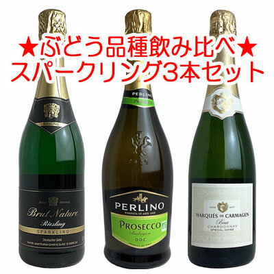 厳選！3ヵ国！ぶどう品種飲み比べ！辛口スパークリングワイン 3本セット 601070【ワインセット】【送料..