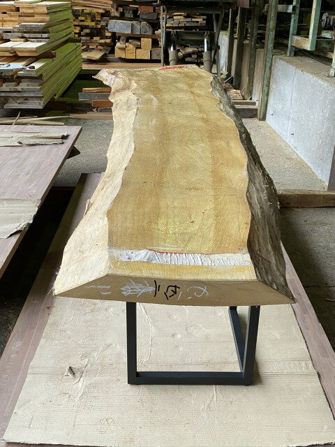 ������ �ơ��֥� �����ơ��֥� �����˥󥰥ơ��֥� ̵�� ���� ŷ�� �� ��С��ơ��֥� ���� �쥸�� �ں� �� ���� ��30cm��Ĺ250cm SEN-001