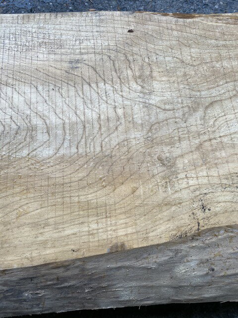 ������ �ơ��֥� �����ơ��֥� �����˥󥰥ơ��֥� ̵�� ���� ŷ�� �� ��С��ơ��֥� ���� �쥸�� �ں� �� ���� ��60cm��Ĺ340cm SEN-002