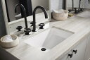 KOHLER コーラー 洗面ボウル 陶器 埋め込み おしゃれ 大きい 大きめ 交換 リフォーム シンク スクエア アンダーカウンター ラデナ Ladena W5...