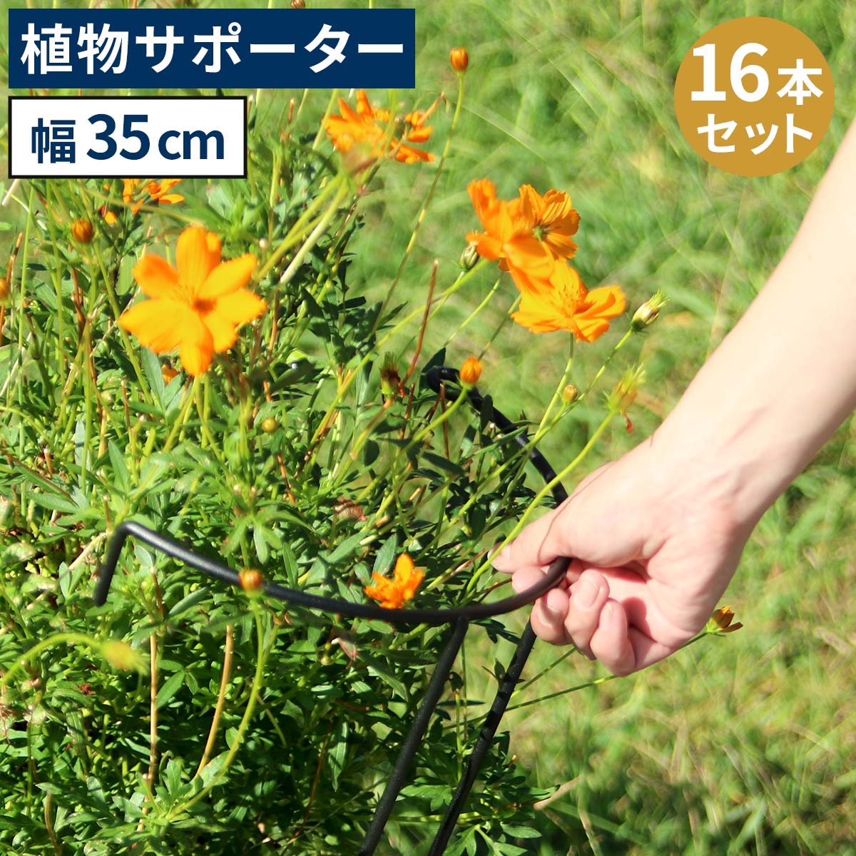 ※北海道・沖縄・離島は別途送料が必要となります。「植物の広がりや倒れをしっかりサポート」 お庭の大切な植物が、花の重みで倒れたり、広がりすぎたり…。そんな時は、植物をさりげなくおしゃれに整える、アイアン製サポーターがおすすめです。 マット調の6mm黒アイアンは、頑丈でモダンな質感。広がりがちな植物を、抜群の安定感で、エレガントに固定します。 ■連結・延長で自由にデザイン フックで連結したり、延長脚で高さを変えられます。 (1)1本で植物を支える (2)2本でサークル状に (3)複数連結で大サークルも作れます (4)延長脚（別売り）でもっと高く (5)横に複数連結すればフェンスに 【特徴】 ・張り出しがちな草木も、美しいシルエットをキープ。玄関アプローチや、お庭の小道もすっきり。 ・大きめサイズなら、茂りすぎたシュラブ（低木）や、植栽直後のシンボルツリー、重さのある果樹もしっかり支えます。 ・地面に深く刺すだけで抜群の安定感。軽量で持ち運びもしやすいです。地植え、鉢植え、どちらにも使えます。 【ディテール】 ・植物になじむマットブラック ・丈夫で扱いやすい太めアイアン ・豊富なサイズバリエーション ※幅45cmのみ、脚はジョイント式です。 【カラー】 マットブラック関連商品アイアン製植物サポーター 幅45 16本セット IF-N0047-16...アイアン製植物サポーター 幅25 16本セット IF-N0049-16...アイアン製植物サポーター 幅18 16本セット IF-N0050-16...16,800円11,800円10,400円アイアン製植物サポーター 幅35 4本セット IF-N0048-4P奥...アイアン製植物サポーター 幅35 8本セット IF-N0048-8P奥...アイアン製植物サポーター 延長脚 16本セット IF-N0051-16...4,980円7,980円5,800円アイアン製植物サポーター 幅45 8本セット IF-N0047-8P奥...アイアン製植物サポーター 幅45 4本セット IF-N0047-4P奥...アイアン製植物サポーター 幅25 4本セット IF-N0049-4P奥...9,300円5,680円3,980円アイアン製植物サポーター 幅25 8本セット IF-N0049-8P奥...アイアン製植物サポーター 幅18 4本セット IF-N0050-4P奥...アイアン製植物サポーター 延長脚 4本セット IF-N0051-4P脚...6,600円3,680円2,500円■商品名 アイアン製植物サポーター 幅35（16本セット） ■カラー・型番 ブラック…IF-N0048-16P ■サイズ（約） 幅 360×奥行 180×高さ 650mm（1本） ■重量（約） 0.84kg（1本） ■材質 アイアン ■仕上げ 粉体塗装 ■組立区分 完成品