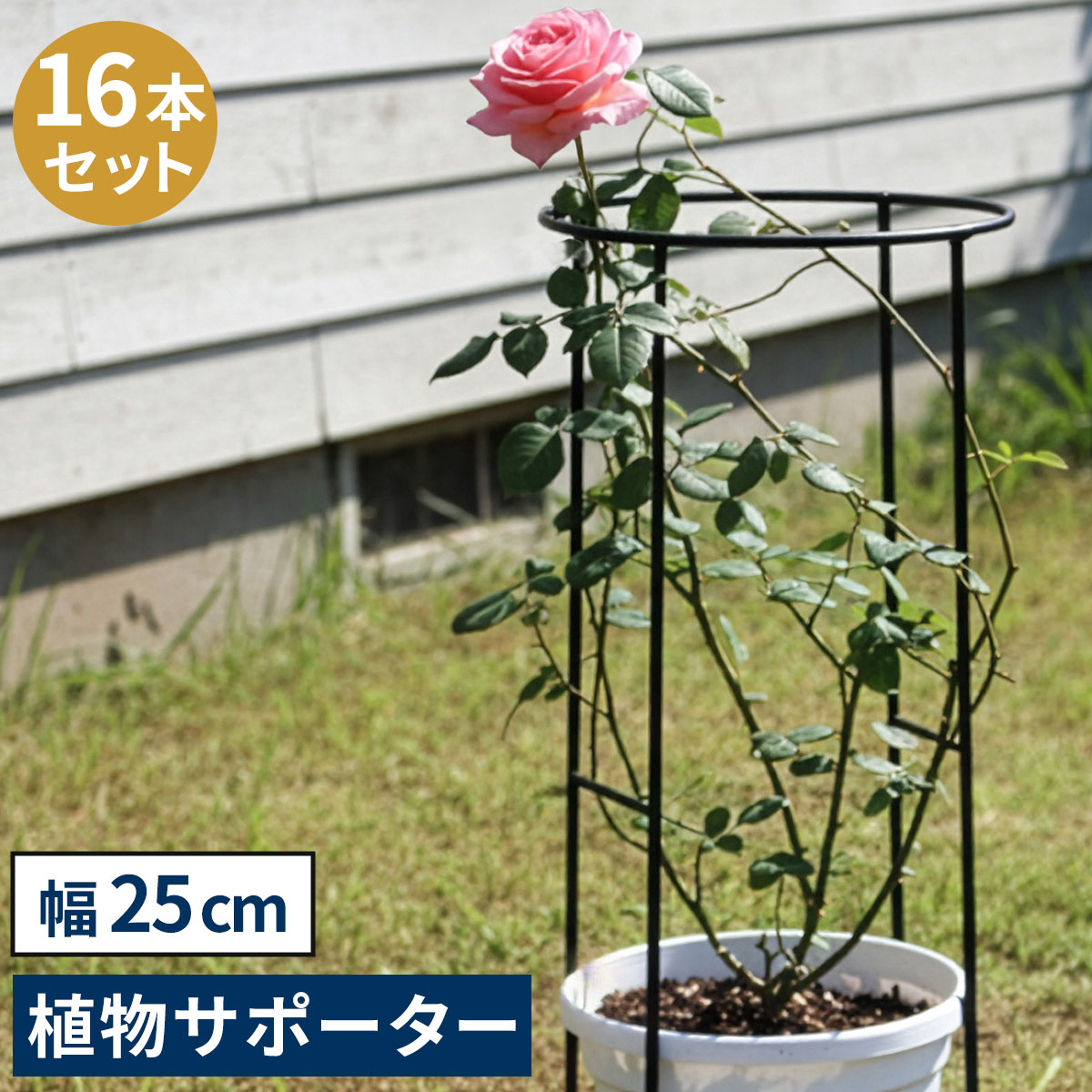 ※北海道・沖縄・離島は別途送料が必要となります。「植物の広がりや倒れをしっかりサポート」 お庭の大切な植物が、花の重みで倒れたり、広がりすぎたり…。そんな時は、植物をさりげなくおしゃれに整える、アイアン製サポーターがおすすめです。 マット調の6mm黒アイアンは、頑丈でモダンな質感。広がりがちな植物を、抜群の安定感で、エレガントに固定します。 ■連結・延長で自由にデザイン フックで連結したり、延長脚で高さを変えられます。 (1)1本で植物を支える (2)2本でサークル状に (3)複数連結で大サークルも作れます (4)延長脚（別売り）でもっと高く (5)横に複数連結すればフェンスに 【特徴】 ・張り出しがちな草木も、美しいシルエットをキープ。玄関アプローチや、お庭の小道もすっきり。 ・大きめサイズなら、茂りすぎたシュラブ（低木）や、植栽直後のシンボルツリー、重さのある果樹もしっかり支えます。 ・地面に深く刺すだけで抜群の安定感。軽量で持ち運びもしやすいです。地植え、鉢植え、どちらにも使えます。 【ディテール】 ・植物になじむマットブラック ・丈夫で扱いやすい太めアイアン ・豊富なサイズバリエーション ※幅45cmのみ、脚はジョイント式です。 【カラー】 マットブラック関連商品アイアン製植物サポーター 幅18 16本セット IF-N0050-16...アイアン製植物サポーター 幅35 16本セット IF-N0048-16...アイアン製植物サポーター 幅45 16本セット IF-N0047-16...10,400円14,400円16,800円アイアン製植物サポーター 幅45 8本セット IF-N0047-8P奥...アイアン製植物サポーター 幅25 4本セット IF-N0049-4P奥...アイアン製植物サポーター 幅25 8本セット IF-N0049-8P奥...9,300円3,980円6,600円アイアン製植物サポーター 延長脚 16本セット IF-N0051-16...アイアン製植物サポーター 幅35 8本セット IF-N0048-8P奥...アイアン製植物サポーター 幅18 4本セット IF-N0050-4P奥...5,800円7,980円3,680円アイアン製植物サポーター 幅18 8本セット IF-N0050-8P奥...アイアン製植物サポーター 幅45 4本セット IF-N0047-4P奥...アイアン製植物サポーター 幅35 4本セット IF-N0048-4P奥...5,800円5,680円4,980円■商品名 アイアン製植物サポーター 幅25（16本セット） ■カラー・型番 ブラック…IF-N0049-16P ■サイズ（約） 幅 250×奥行 130×高さ 500mm（1本） ■重量（約） 0.65kg（1本） ■材質 アイアン ■仕上げ 粉体塗装 ■組立区分 完成品