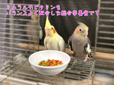 賞味期限:2023/1/31【正規品】ZuPreem ズプリーム フルーツブレンド M 200g 鳥 フード ペレット インコ オウム 餌 えさ