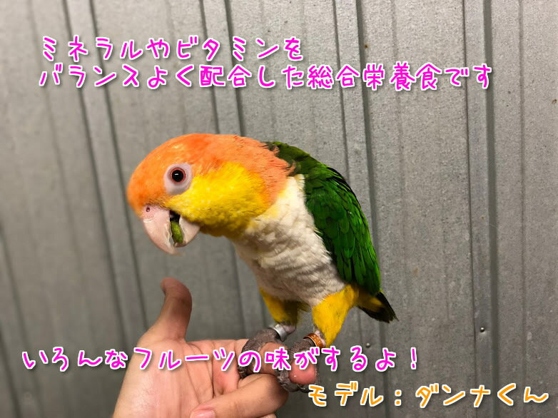 賞味期限:2023/2/28 ブリーダータイプ ZuPreem ズプリーム フルーツブレンド ML 907g 鳥 フード ペレット インコ オウム えさ 餌