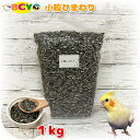 小粒ひまわり 1kg 餌 シード エサ えさ 鳥 トリ インコ オウム 大容量 お徳用 単品穀物 フード ごはん 小粒ヒマワリ