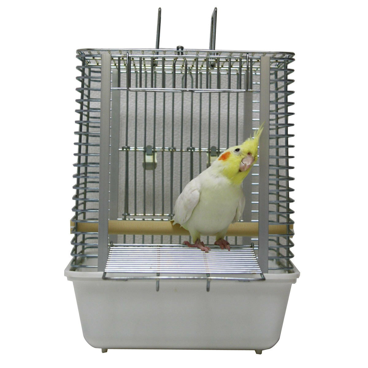 �ڤ��ޤ��դ����� HOEI �ϡ��ȥե륭��꡼ ������ Ļ���� ����