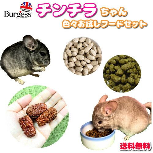 【送料無料】 チンチラちゃんお試しフードセット 餌 エサ フード ペレット えさ 草食 チモシー 干草 チンチラ 試供品 サンプル 1000円 ポッキリ 送料無料 乳酸菌 なつめ