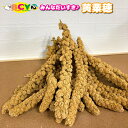 黄粟穂 100g 量り売り 黄粟 アワ ごはん 粟穂 黄 粟 穂 鳥 とり トリ インコ オウム お ...