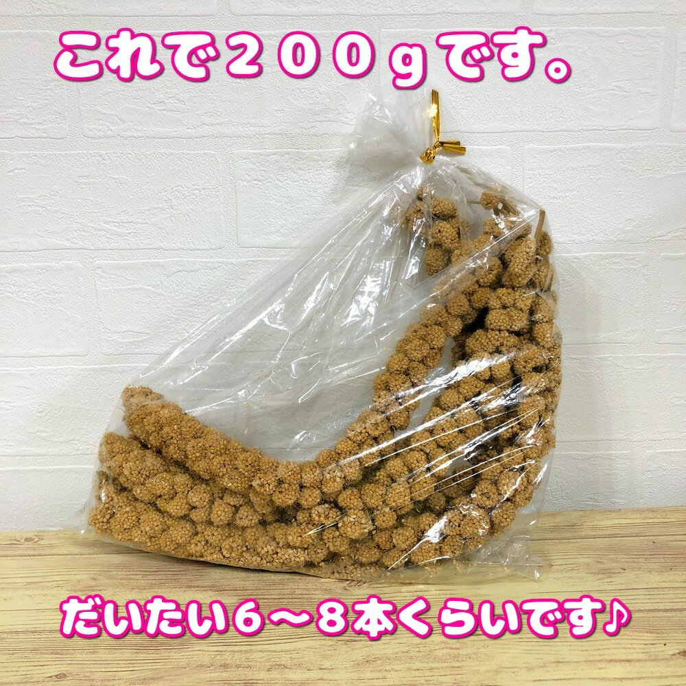 ������ 100g �̤���� ���� ���� ���Ϥ� ���� �� �� �� Ļ �Ȥ� �ȥ� ���� ������ ����� ������ ���� ������ �����Ǥ� �¤� �� ���� ����