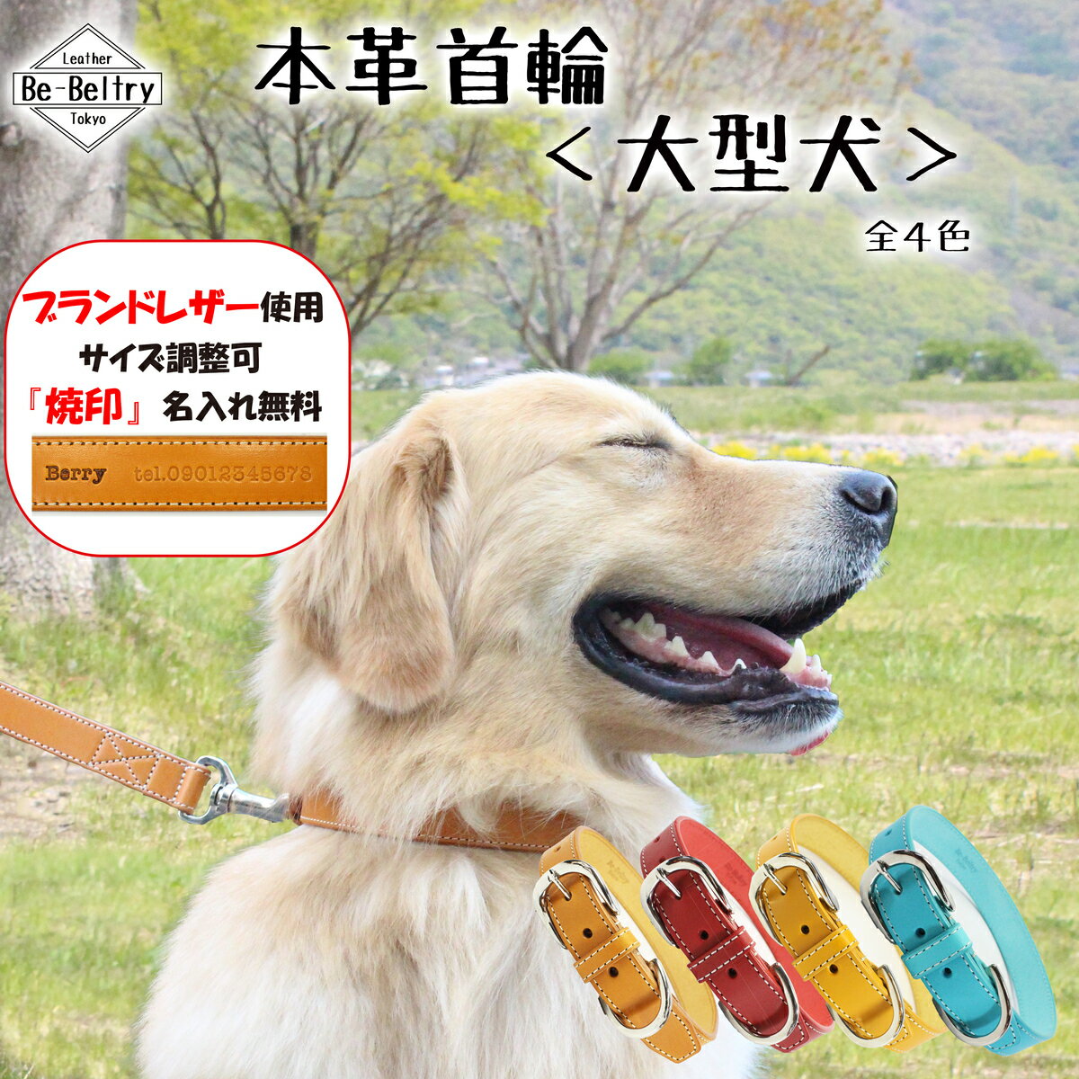 大型犬 犬 首輪 本革 幅24mm 赤 青 黄 キャメル色 首回り〜60cm対応 迷子刻印 名入れ サイズ調整可 余剰ベルト止め付属 栃木 姫路レザー社製 高級ヌメ革 送料無料 ターコイズブルー 水色 マスタードイエロー