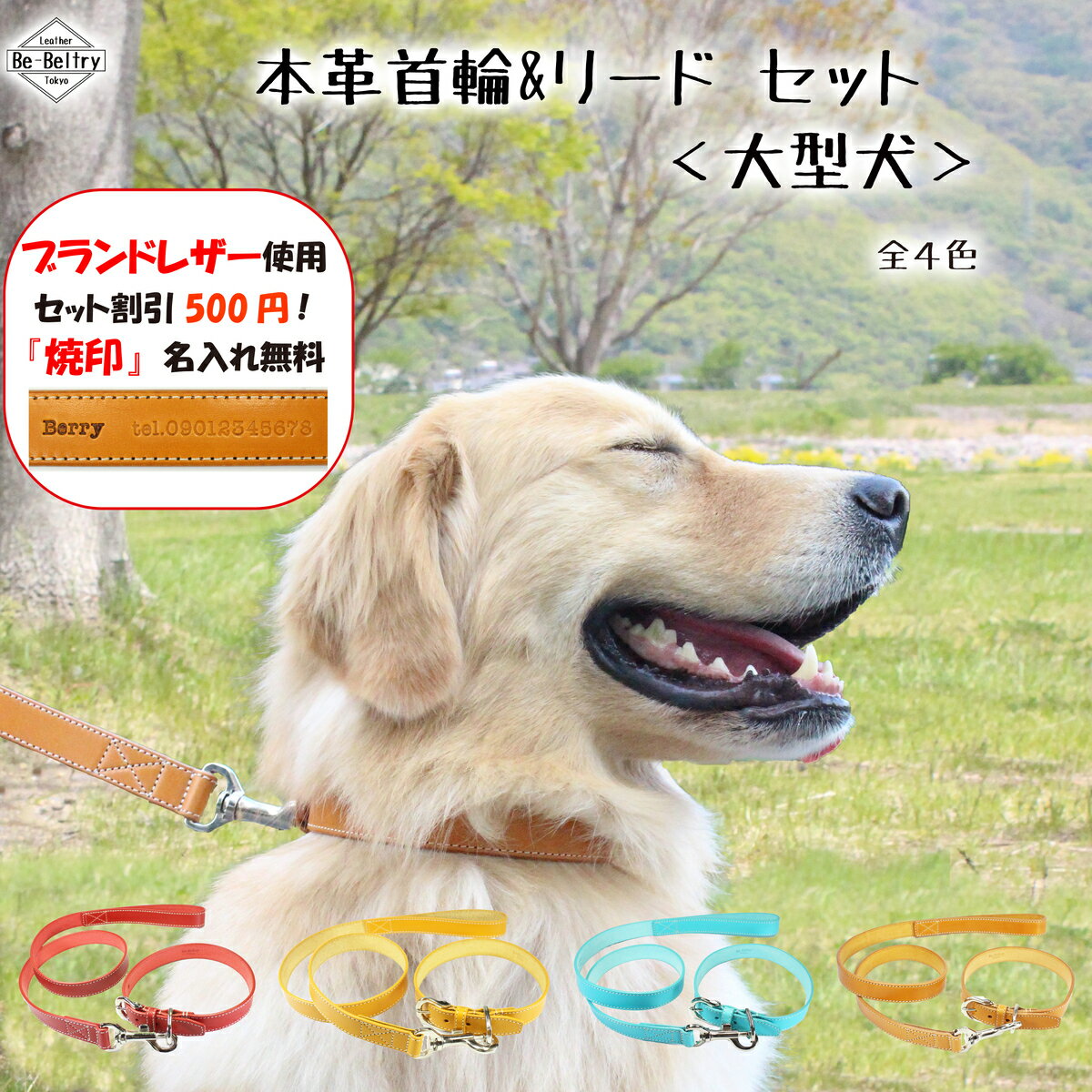 大型犬 首輪 & リード セット 皮革製 一枚革 犬用 24~25mm幅 本革 首回り ~60cm対応 赤 青 黄 キャメル色 長さ選択可80cm~130cm対応 高級ヌメ革 栃木 姫路 レザー 送料無料 ターコイズブルー 水色 マスタード イエロー