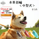 中型犬 犬 首輪 本革 犬用 幅21mm 赤 青 黄 キャメル チョコ色 首回り28~46cm対応 迷子刻印 名入れ サイズ調整可 余剰ベルト止め付属 栃木 姫路レザー社製 高級ヌメ革 送料無料 ターコイズブルー 水色 マスタードイエロー