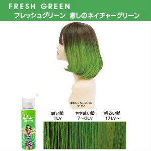 ���쥹 ���顼�ѥ��������ץ졼 �ե�å��奰�꡼�� 60g�����Υͥ����㡼���꡼��!�����ס�����Ȥ���1��������1day���顼���ץ졼