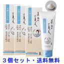 日本盛 米ぬか美人 【3個セット】 洗顔クリーム 100g 送料無料 その1